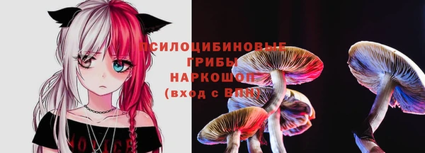 не бодяженный Абаза