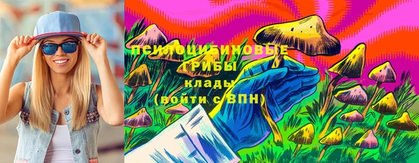 ешки Абинск