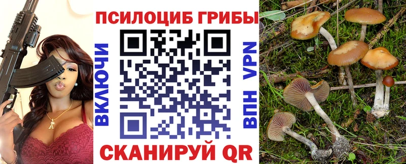 Псилоцибиновые грибы GOLDEN TEACHER Холм