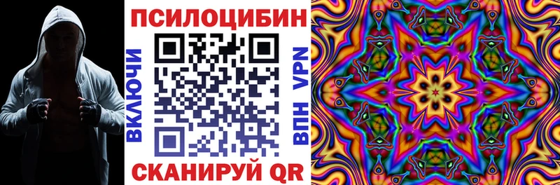 наркотики  Холм  Псилоцибиновые грибы Cubensis 
